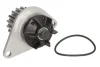 Помпа води Citroen Nemo/Peugeot Bipper 1.4i 08-, z=18 538 0055 10 INA 538-0055-10