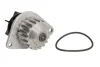Помпа води Citroen Nemo/Peugeot Bipper 1.4i 08-, z=18 538 0055 10 INA 538-0055-10 (фото 2)