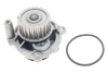 Помпа води VW Caddy III 1.6/BiFuel 04-15 (23z), BGU, BSE, BSF, CHGA 538 0088 10 INA 538-0088-10 (фото 2)