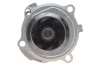 Помпа води VW Caddy III 1.6/BiFuel 04-15 (23z), BGU, BSE, BSF, CHGA 538 0088 10 INA 538-0088-10 (фото 3)
