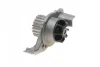 Помпа води Citroen Berlingo/Xsara/Peugeot Partner/205/306/309/405/406/806/Expert 1.6/1.8/1.9 87-02 538 0103 10 INA 538-0103-10 (фото 3)