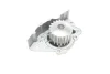 Помпа води Fiat Scudo 96-06/Ducato/Peugeot Boxer/406 1.9D/TD/2.0 94-02 538 0151 10 INA 538-0151-10 (фото 8)