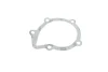 Помпа води Fiat Scudo 96-06/Ducato/Peugeot Boxer/406 1.9D/TD/2.0 94-02 538 0151 10 INA 538-0151-10 (фото 9)