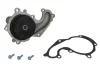 Помпа води Ford Connect 1.8DI/TDCI, 55/66/81kw 02- з двойним шківом 538 0256 10 INA 538-0256-10 (фото 1)