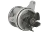 Помпа води Ford Focus II/Mondeo/Fusion 13-20/Mazda 3/5/6 1.8-2.3 00- 538 0261 10 INA 538-0261-10 (фото 1)