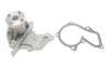 Помпа води Ford Fiesta/Focus 1.0-1.6 96-/Volvo S40/V50 1.6 05-12 538 0288 10 INA 538-0288-10 (фото 2)