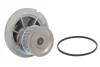 Помпа води Opel Combo 1,6CNG, 10/01 - 12/11/ Astra G 1.4/1.6 16V (T98), 03/98 - 12/09 538 0296 10 INA 538-0296-10 (фото 2)