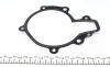 Помпа води Chevrolet Lacetti/Nubira/Captiva 2.0D 07-/Cruze 2.0CDI 09- 538 0312 10 INA 538-0312-10 (фото 5)
