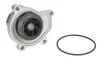 Помпа води Skoda Fabia/Roomster 1.2i 01-15 538 0336 10 INA 538-0336-10 (фото 3)