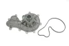 Помпа води VW Touareg 3.0 V6 TDI/Porsche Cayenne/Macan 3.0 S 10- 538 0365 10 INA 538-0365-10 (фото 2)