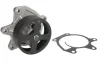Помпа води Nissan Juke 1.6DIG-T 10-/Qashqai/X-Trail 1.6DIG-T/2.0 15-/Tiida 1.6/1.8 12- 538 0522 10 INA 538-0522-10 (фото 1)