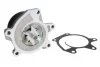 Помпа води Nissan Juke 1.6DIG-T 10-/Qashqai/X-Trail 1.6DIG-T/2.0 15-/Tiida 1.6/1.8 12- 538 0522 10 INA 538-0522-10 (фото 2)