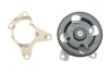 Помпа води Renault Clio/Laguna III/Megane III/Scenic III 2.0 06-, M4R 711/713/710 538 0524 10 INA 538-0524-10 (фото 1)