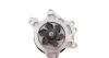 Помпа води Toyota Avensis 00-08/Corolla 1.4-1.8 VVT-i 99-07(для полікліно-ременного приводу) 538 0548 10 INA 538-0548-10 (фото 2)