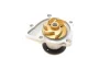 Помпа води Hyundai ix35/Tucson/Santa Fe/Kia Cerato/Sorento/Carens/Mitsubishi 2.0/2.4 10- 538 0596 10 INA 538-0596-10 (фото 4)