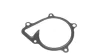 Помпа води Ford Ranger 3.2 TDCi 11- 538 0886 10 INA 538-0886-10 (фото 10)