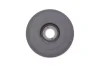 Шків колінвалу Citroen Berlingo/Jumpy/Peugeot Expert 1.9D/2.0HDI 98- (6PK) (з болтом) 544 0039 20 INA 544-0039-20 (фото 2)