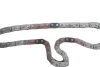 Комплект ланцюга ГРМ Ford Transit 2.2/2.4/3.2TDCi 06-14 558 0062 10 INA 558-0062-10 (фото 7)