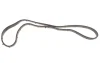 Комплект ланцюга ГРМ Fiat Ducato/Peugeot/Citroen/Iveco 3.0 JTD 11- 559 1011 51 INA 559-1011-51 (фото 4)