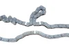Комплект ланцюга ГРМ Opel Vectra C 2.8 V6 Turbo 05-08 (z= 2x92/78) 559 1825 50 INA 559-1825-50 (фото 9)