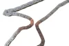 Комплект ланцюга ГРМ Hyundai H-1 (TQ)/Kia Sorento I (JC) 2.5CRDi 01- 559 1862 50 INA 559-1862-50 (фото 3)