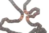 Комплект ланцюга ГРМ Hyundai H-1 (TQ)/Kia Sorento I (JC) 2.5CRDi 01- 559 1865 30 INA 559-1865-30 (фото 3)