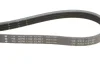 Ремінь генератора Citroen Jumper/Fiat Ducato 3.0HDi/D 06- FB 4EPK1102 INA FB-4EPK1102 (фото 4)
