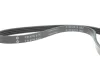 Ремінь генератора Hyundai Accent 1.4-1.6 95-10/Kia Cerato 1.6 04-/Rio II 1.4/1.6 05- FB 4PK815 INA FB-4PK815 (фото 4)