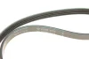 Ремінь генератора Suzuki Swift 1.0i 95-05/ Honda Civic 1.4-1.6 94-01/ Nissan Primera1.6-2.0 96-02 FB 4PK825 INA FB-4PK825 (фото 4)