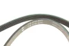 Ремінь генератора Suzuki Swift 1.0i 95-05/ Honda Civic 1.4-1.6 94-01/ Nissan Primera1.6-2.0 96-02 FB 4PK825 INA FB-4PK825 (фото 5)