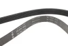 Ремінь генератора Ford Mondeo/Volvo S80/V60/V70/XC70 2.5 07-17 FB 5PK1095 INA FB-5PK1095 (фото 3)