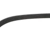 Ремінь генератора Ford Mondeo/Volvo S80/V60/V70/XC70 2.5 07-17 FB 5PK1095 INA FB-5PK1095 (фото 4)