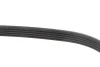 Ремінь генератора Citroen Jumper 2.8HDI 00-/Honda Accord 1.9-2.0 93-98/ Toyota Carina 2.0 96-97 FB 5PK1100 INA FB-5PK1100 (фото 3)