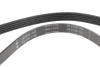 Ремінь генератора Citroen Jumper 2.8HDI 00-/Honda Accord 1.9-2.0 93-98/ Toyota Carina 2.0 96-97 FB 5PK1100 INA FB-5PK1100 (фото 4)