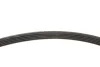 Ремінь генератора BMW 3 (E46)/X5 (E53)/5 (E39) 2.5D/3.0D 98-06 (5PK813) M57 D30 FB 5PK813 INA FB-5PK813 (фото 3)