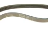 Ремінь генератора Opel Omega B 2.5DTI 01-03 FB 5PK830 INA FB-5PK830 (фото 4)