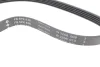 Ремінь генератора BMW 3 (E46)/5 (E39) 1.8D/2.0D 98-03 (5PK836) M47 D20 FB 5PK836 INA FB-5PK836 (фото 2)