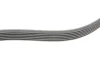 Ремінь генератора VW Polo/Up 11-/Skoda Fabia 14-/Seat Ibiza 1.0/1.6 15- (6PK989) FB 6EPK989 INA FB-6EPK989 (фото 3)