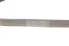 Ремінь генератора VW Polo/Up 11-/Skoda Fabia 14-/Seat Ibiza 1.0/1.6 15- (6PK989) FB 6EPK989 INA FB-6EPK989 (фото 4)