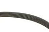 Ремінь генератора Audi A3/A4/Seat Leon/VW Caddy/Passat/Tiguan 1.6-2.0TDI FB 6PK1025 INA FB-6PK1025 (фото 3)