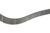 Ремінь генератора VW Caddy/T5 1.9TDI/ Renault Trafic 1.9D (6PK1140) FB 6PK1138 INA FB-6PK1138 (фото 2)