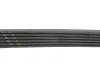 Ремінь генератора Citroen Jumper/Fiat Ducato 2.0/2.2HDi/JTD 02- FB 6PK1173 INA FB-6PK1173 (фото 3)