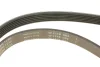 Ремінь генератора Citroen Jumpy/Peugeot 3008/5008/Expert 2.0BlueHDi 16- (6PK1230) FB 6PK1230 INA FB-6PK1230 (фото 4)