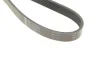 Ремінь генератора Hyundai i30/ Tucson/ ix20 1.4i-1.6 07-/ Kia Cee\'d/Picanto/ Soul 1.0-1.6 06- FB 6PK1255 INA FB-6PK1255 (фото 3)