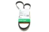 Ремень генератора Peugeot 206/Partner/Citroen Berlingo 1.1-1.6 02-/VW Fox/Polo 1.2 02-14 (6PK1453) FB 6PK1453 INA FB-6PK1453 (фото 1)