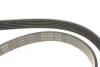 Ремень генератора Peugeot 206/Partner/Citroen Berlingo 1.1-1.6 02-/VW Fox/Polo 1.2 02-14 (6PK1453) FB 6PK1453 INA FB-6PK1453 (фото 4)