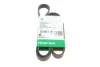 Ремінь генератора Ford Focus 1.8 TDCi 05-12/Skoda Octavia 1.4 i 99-01 (6PK1520) FB 6PK1520 INA FB-6PK1520 (фото 1)