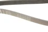 Ремінь генератора поліклиновий VW Golf/BMW/Ford/Opel (6PK1540) FB 6PK1540 INA FB-6PK1540 (фото 4)