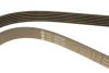 Ремінь генератора поліклиновий VW Golf/BMW/Ford/Opel (6PK1540) FB 6PK1540 INA FB-6PK1540 (фото 5)