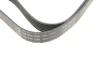 Ремінь генератора Opel Combo/Astra G 1.7DTi 01-/VW T4 2.0 90-03/Ford Mondeo 2.5 94-00 FB 6PK1590 INA FB-6PK1590 (фото 4)